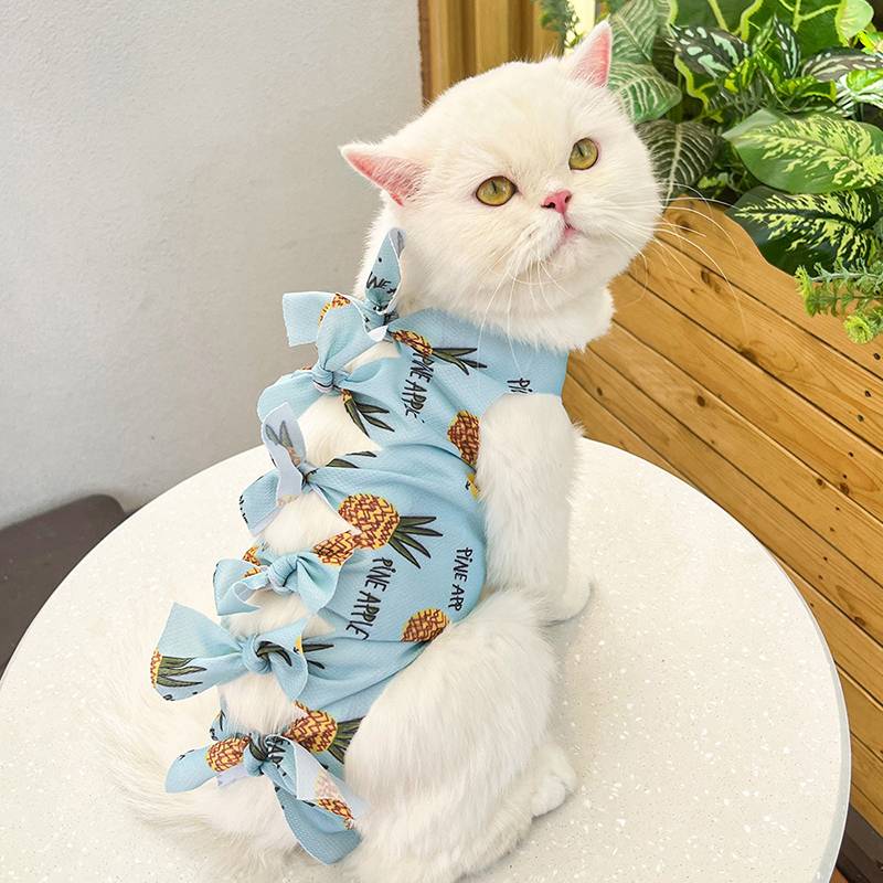 Blue-Pineapple Pattern
